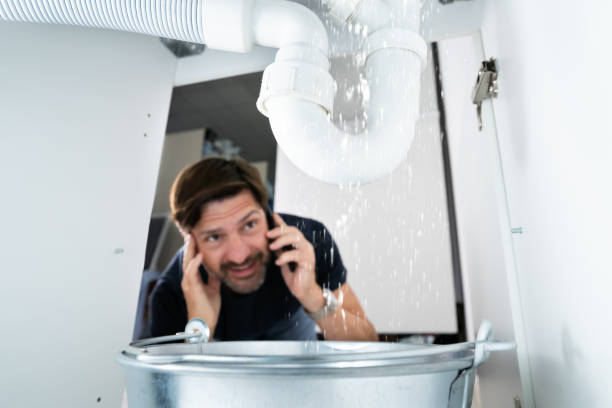 Best 24-Hour Plumber Near Me  in Encinal, TX