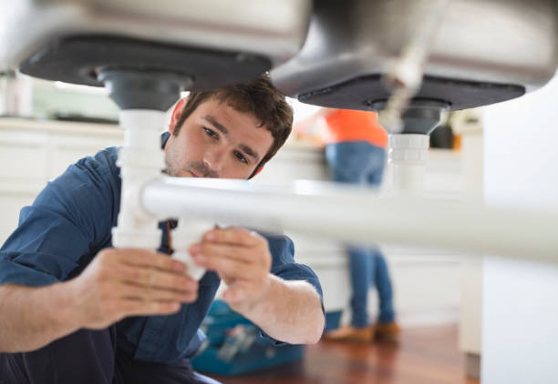 Best Water Heater Repair  in Encinal, TX